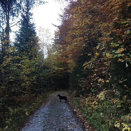 Liesl, Ruim 4 Pers. Met Eigen Tuin! *