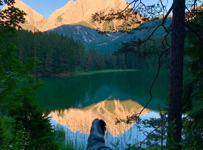 Liesl, Ruim 4 Pers. Met Eigen Tuin! Ehrwald