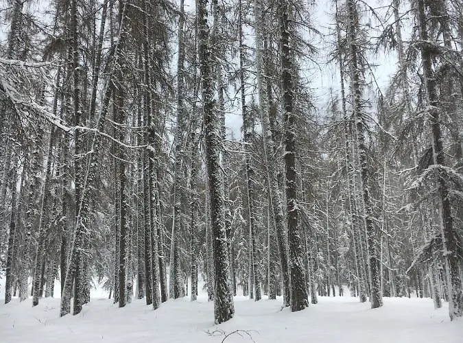 Liesl, Ruim 4 Pers. Met Eigen Tuin! Apartamento Ehrwald