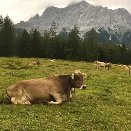 Daire Liesl, Ruim 4 Pers. Met Eigen Tuin! Ehrwald
