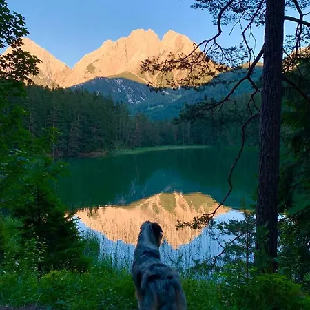 Liesl, Ruim 4 Pers. Met Eigen Tuin! Ehrwald