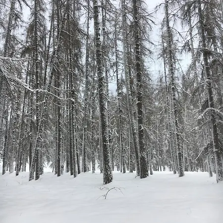 Liesl, Ruim 4 Pers. Met Eigen Tuin! Daire Ehrwald