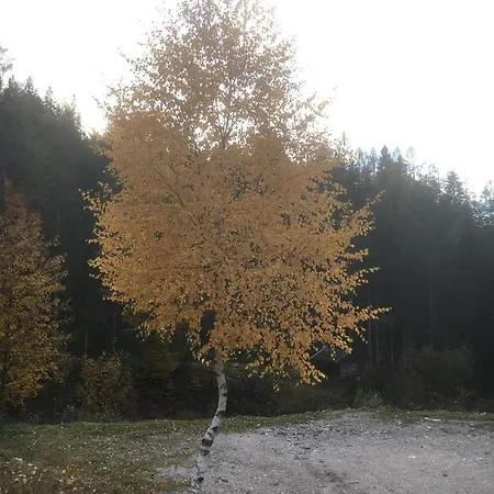 Liesl, Ruim 4 Pers. Met Eigen Tuin! *